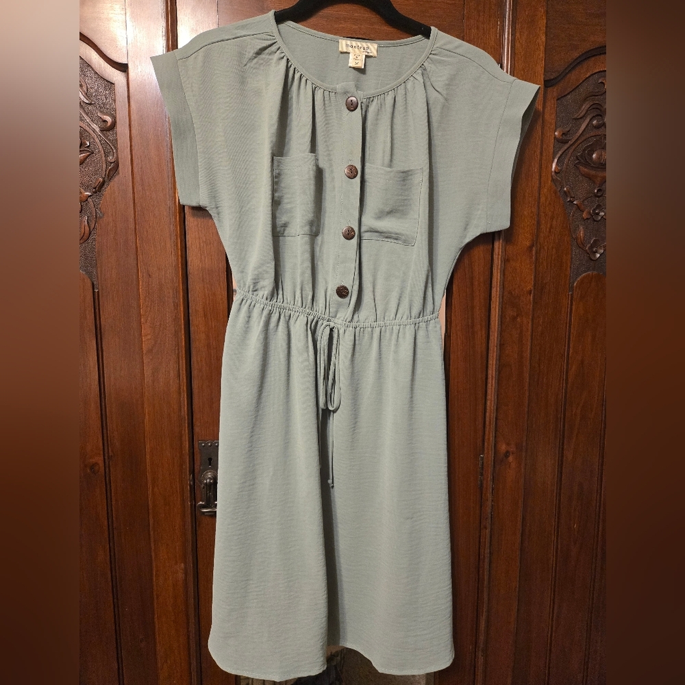 Monteau Sage Button-Down Midi Dress